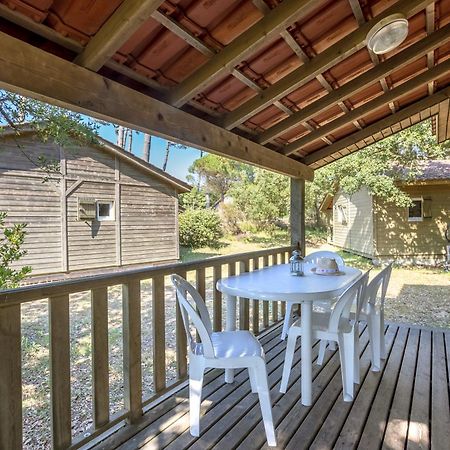Village Vacances La Foret Des Landes 塔尔诺 外观 照片