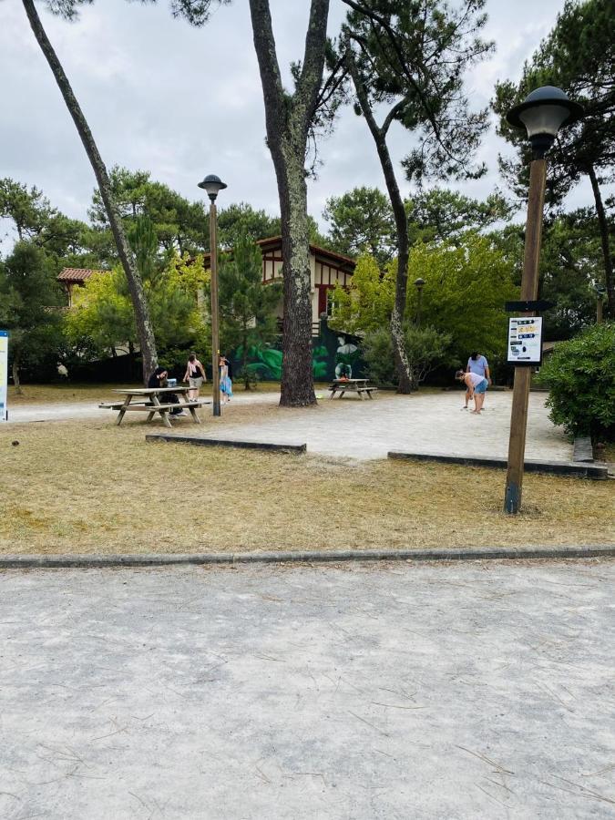 Village Vacances La Foret Des Landes 塔尔诺 外观 照片