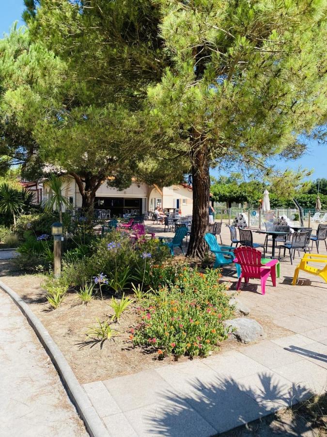 Village Vacances La Foret Des Landes 塔尔诺 外观 照片