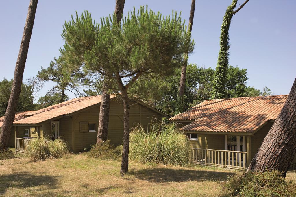 Village Vacances La Foret Des Landes 塔尔诺 外观 照片