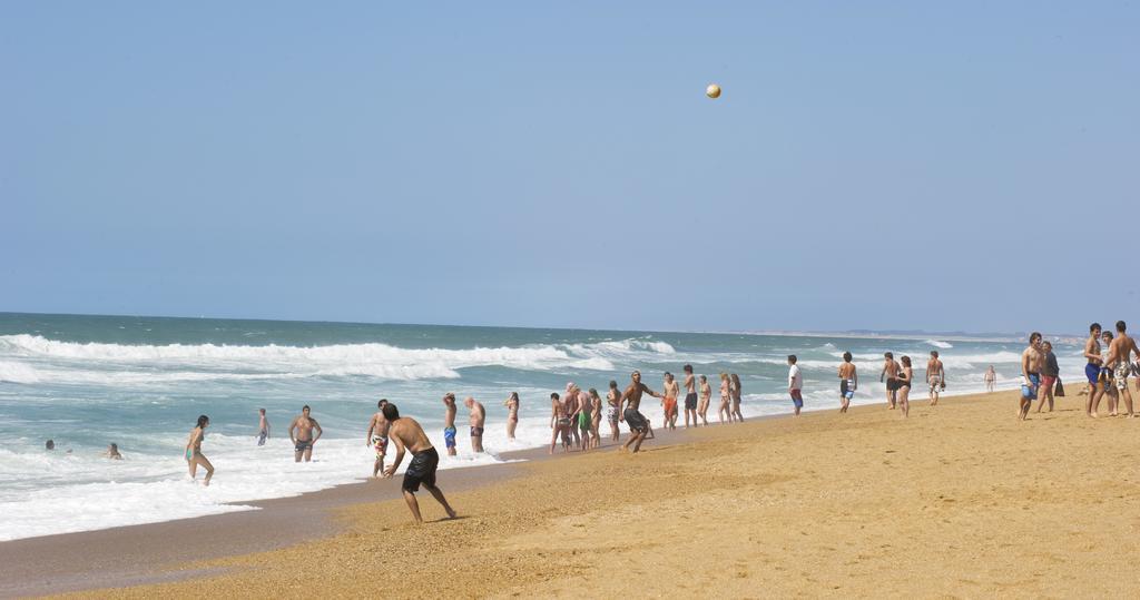 Village Vacances La Foret Des Landes 塔尔诺 外观 照片