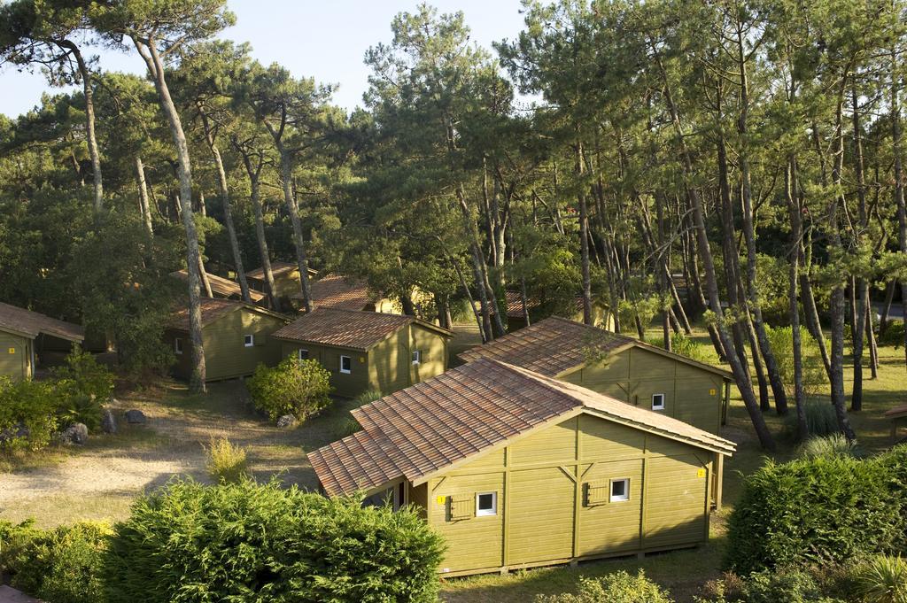 Village Vacances La Foret Des Landes 塔尔诺 外观 照片