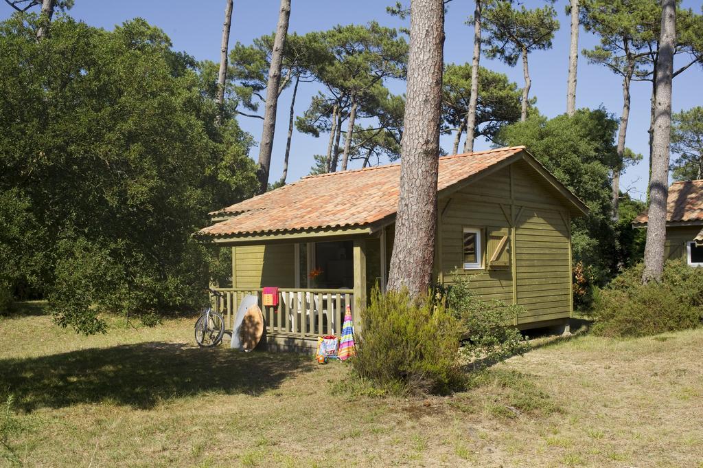 Village Vacances La Foret Des Landes 塔尔诺 外观 照片